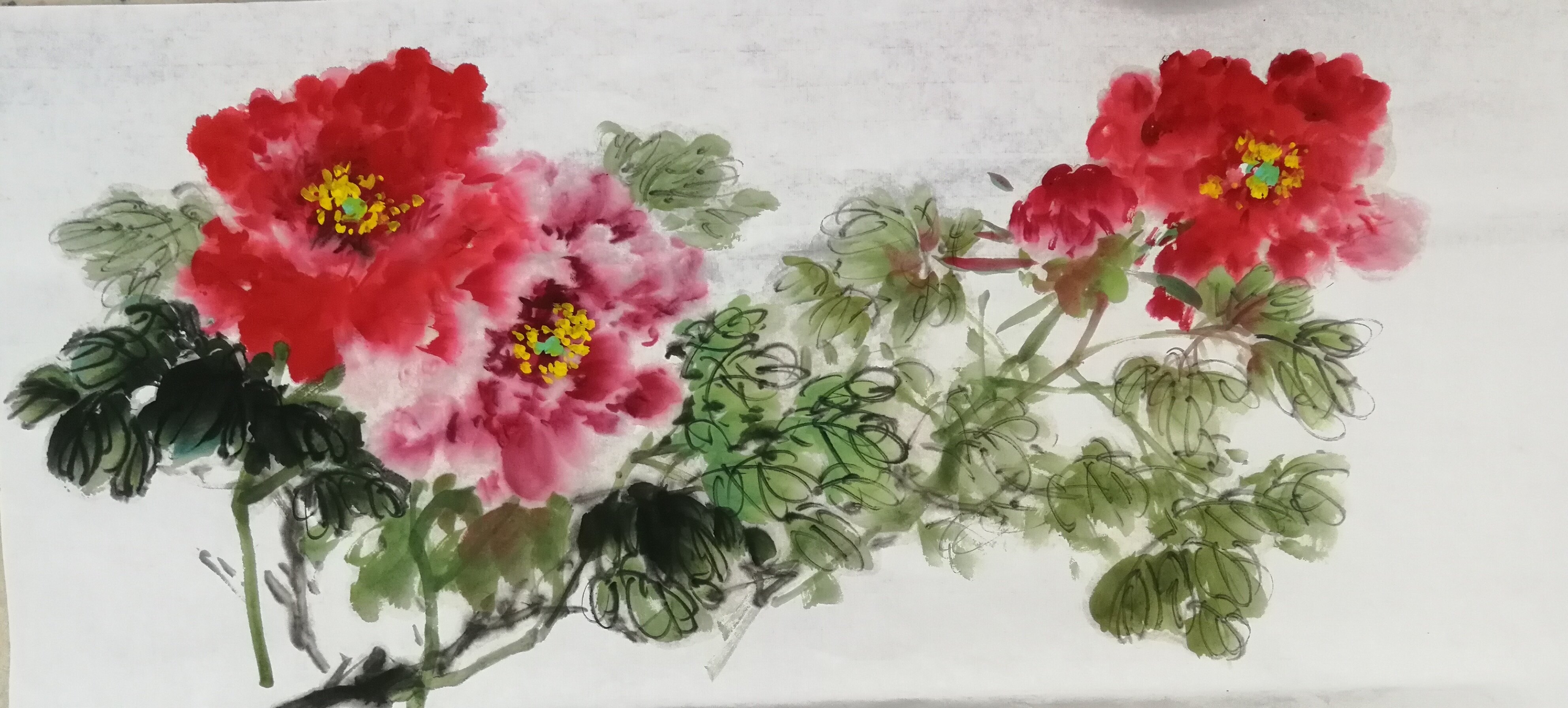 各种牡丹花的价格表