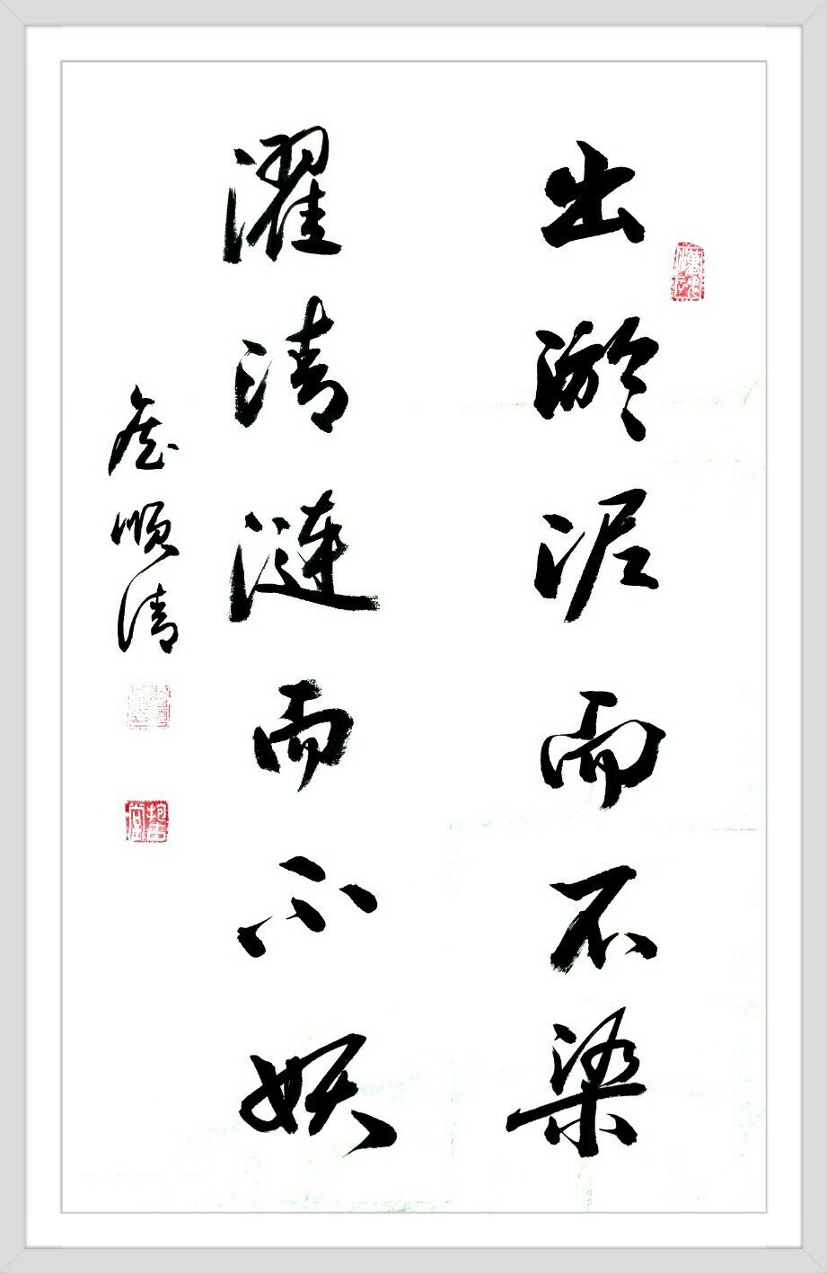 出淤泥而不染,濯清涟而不妖.