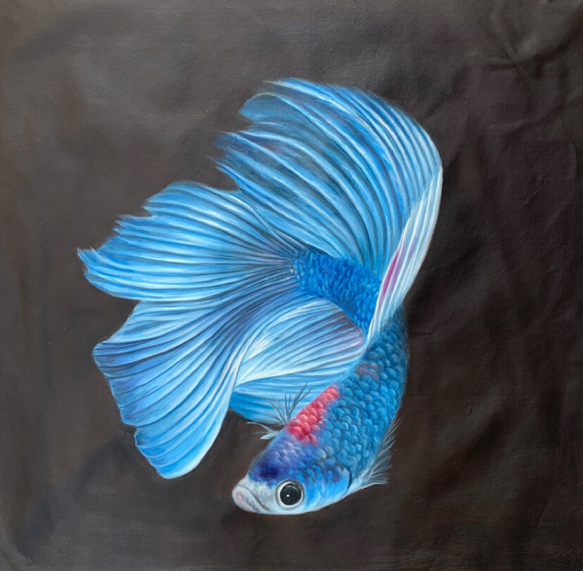 鱼-郑炳坚-体验式艺术电商平台_加画框选场景装裱就用六艺app