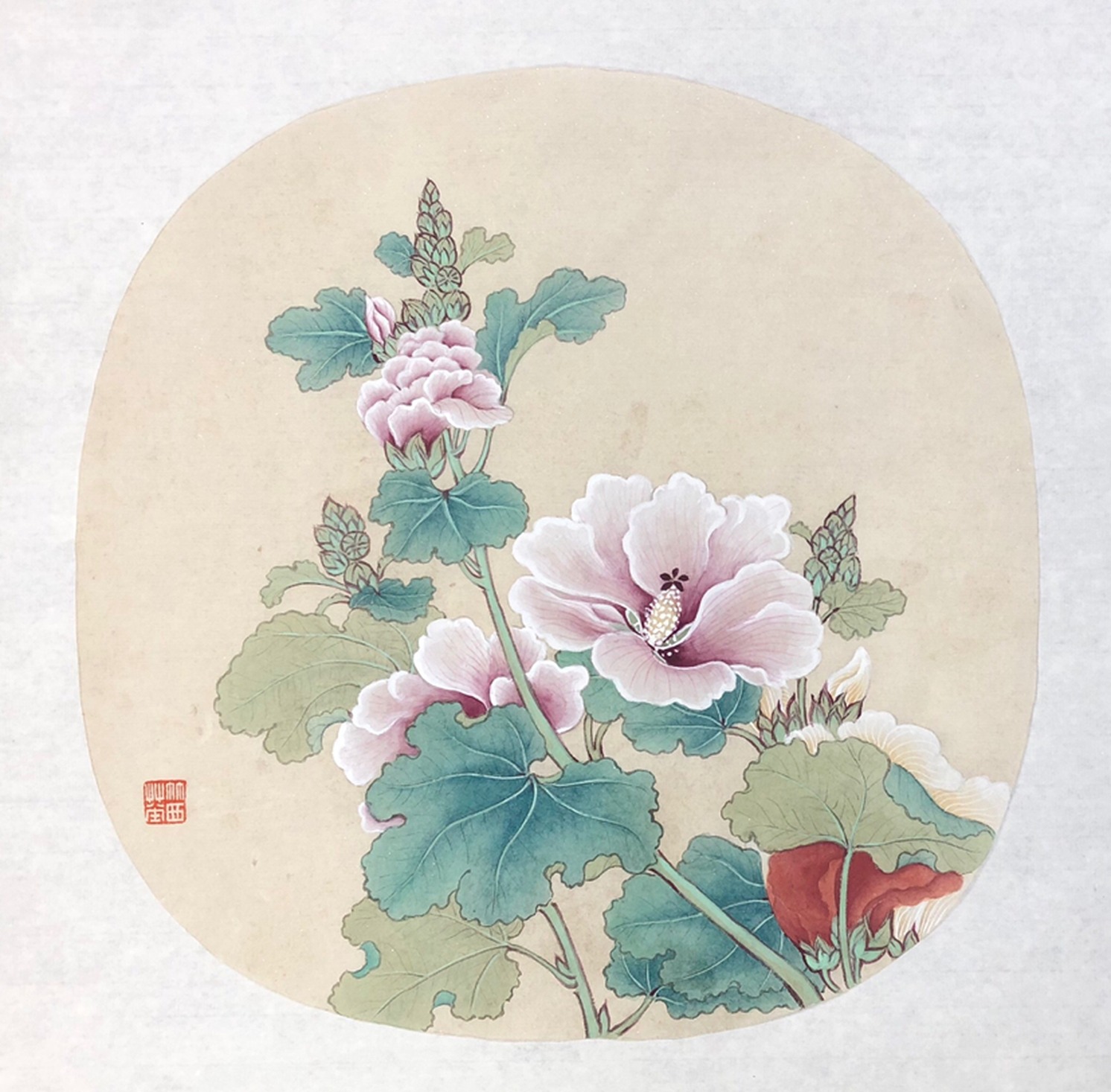 大成书画学馆蜀葵