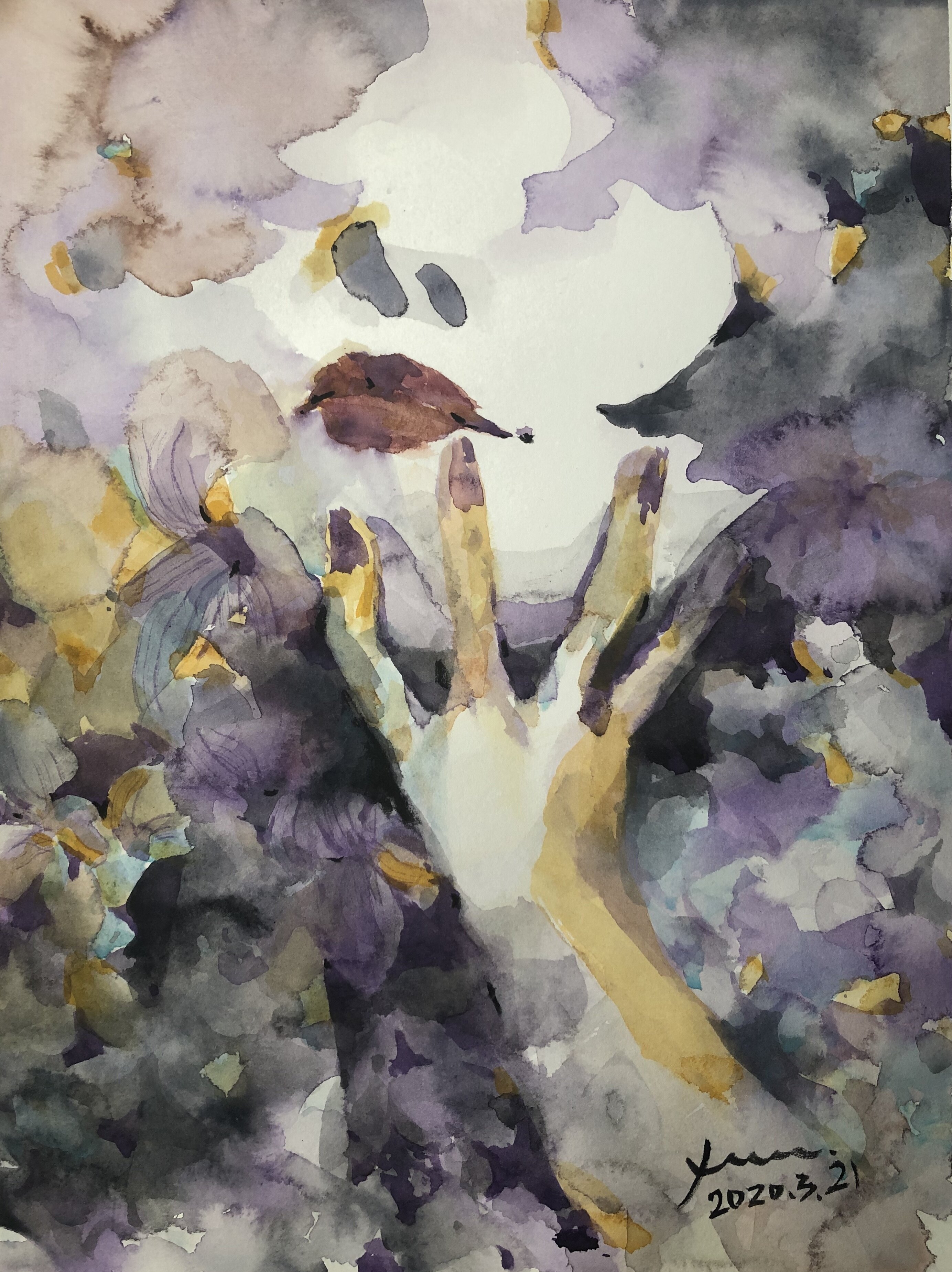 姚敏鸣 > 花语紫罗兰联系电话:023-67026300 价格 :保密 购买 5 作品