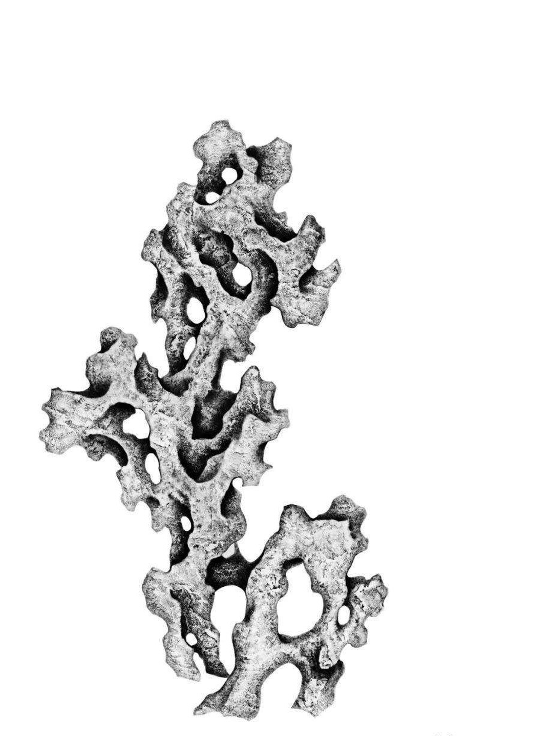 太湖石-关中秦汉唐宋馆-原创艺术品交易平台-六艺app