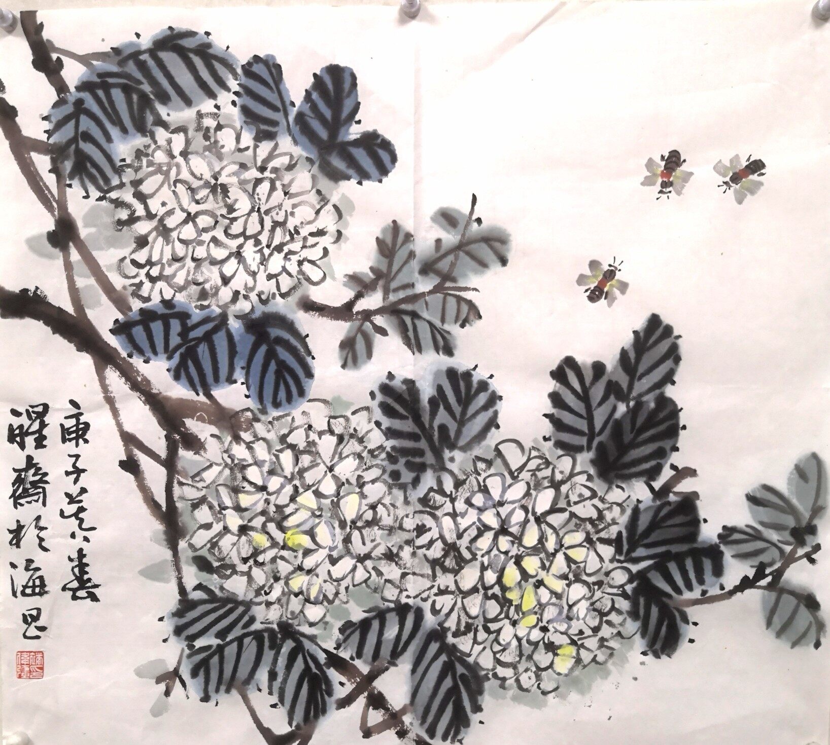 > 褚伟强 > 绣球